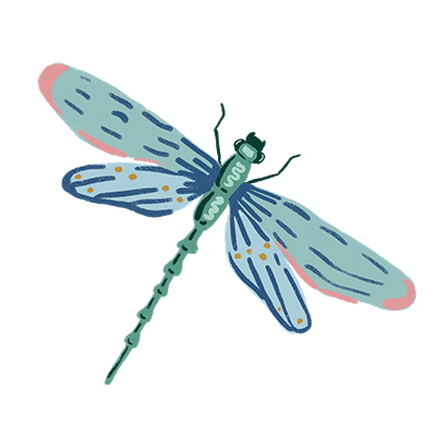 dragonfly