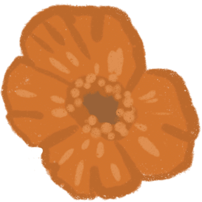 orange poppy flower